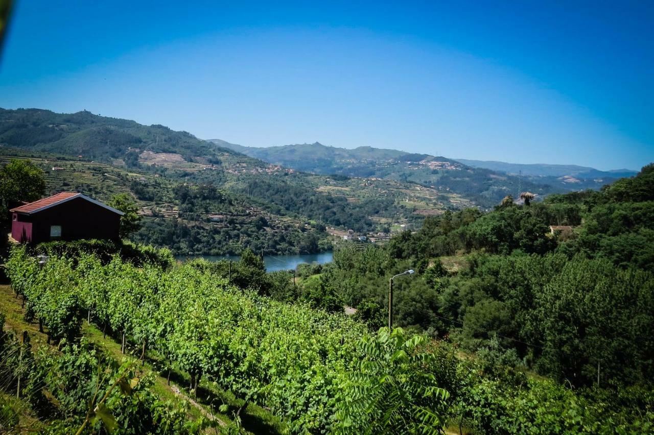 Casa Da Mouta - Douro Valley Baiao Exterior photo