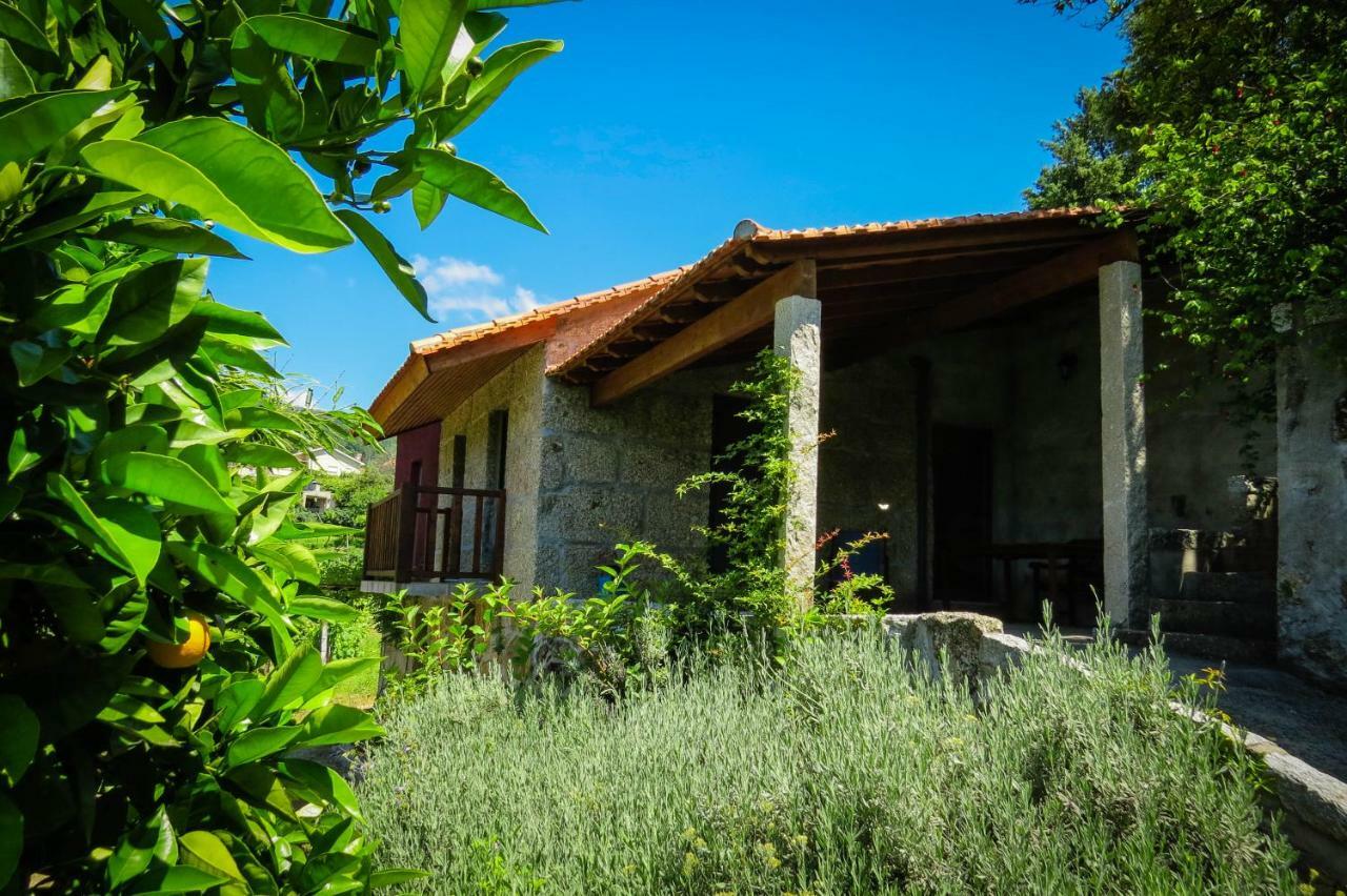 Casa Da Mouta - Douro Valley Baiao Exterior photo